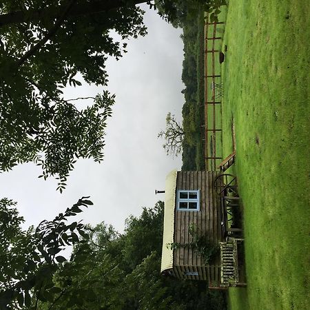 Villa Mollies Hut Frome Esterno foto
