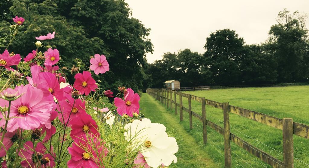 Villa Mollies Hut Frome Esterno foto